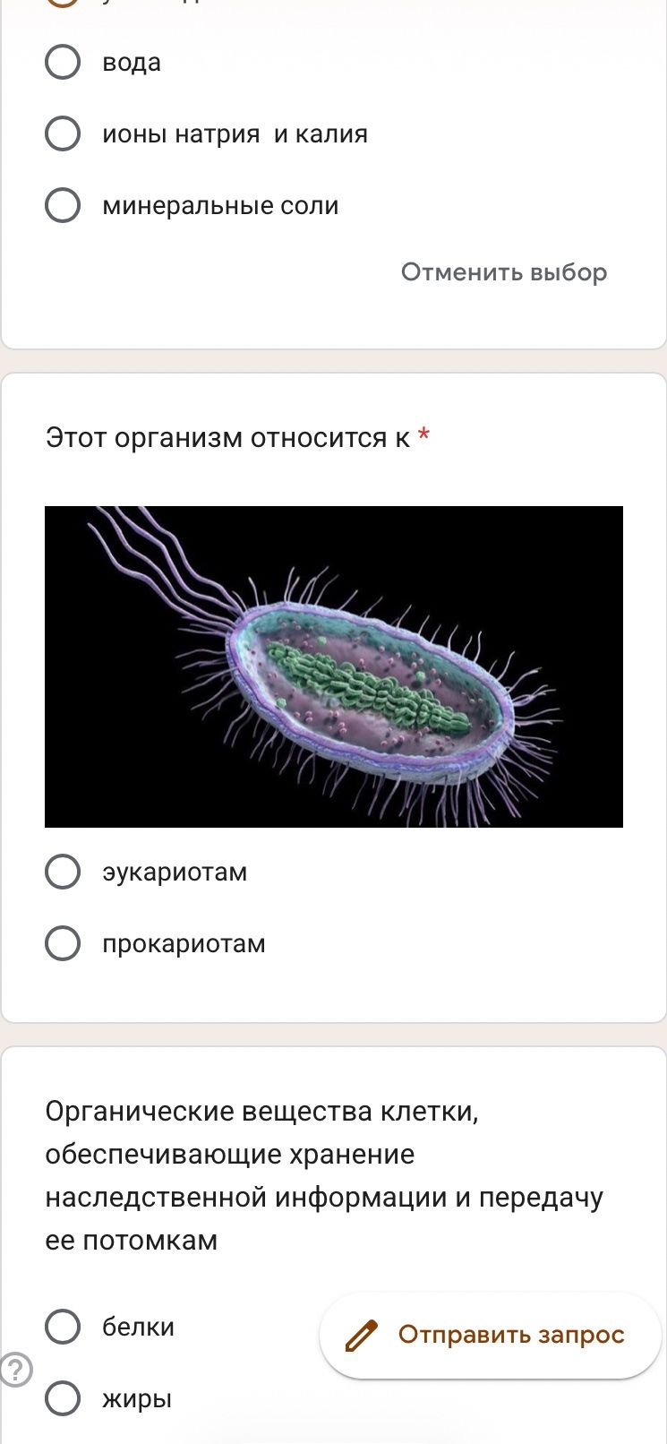 Фото задания: Этот организм относится к: эукариотам; прокариотам.