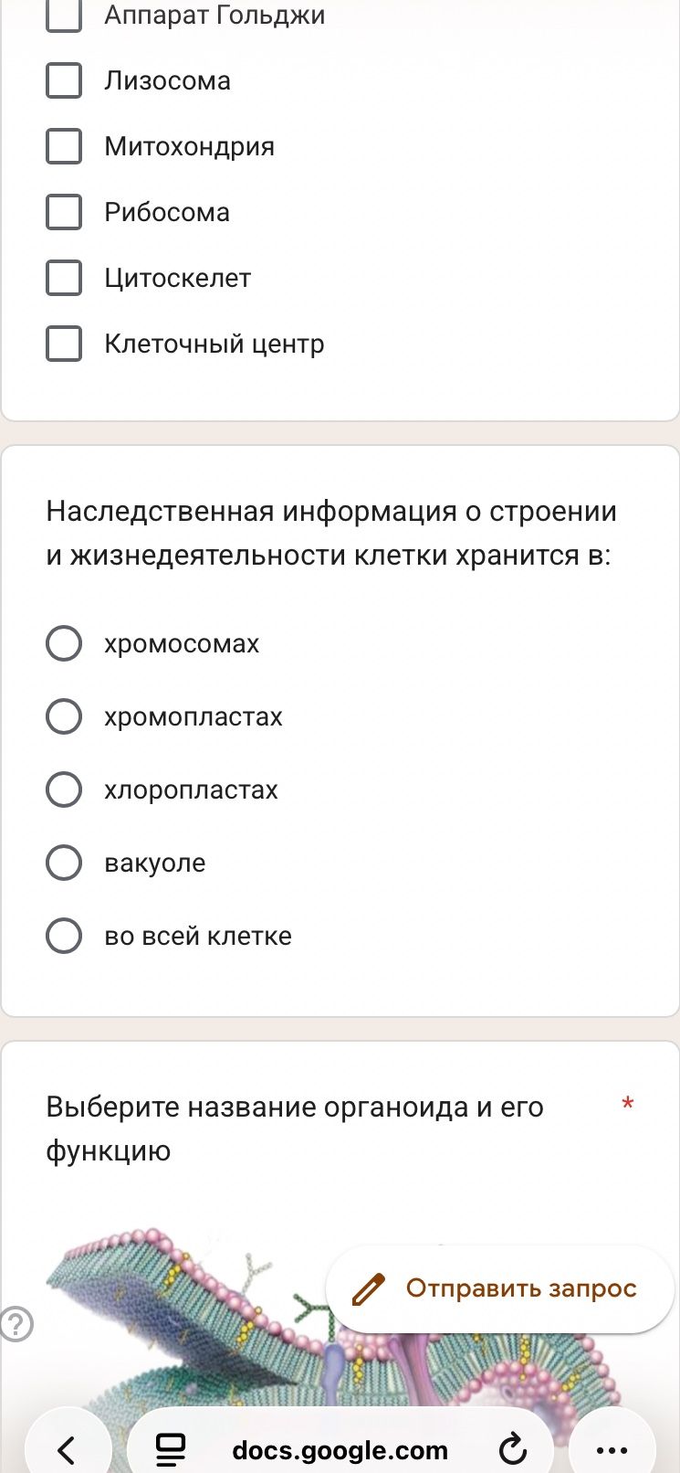 Фото задания: [Начало задания обрезано] Варианты: аппарат Гольджи, лизосома, митохондрия, рибосома, цитоскелет, клеточный центр.