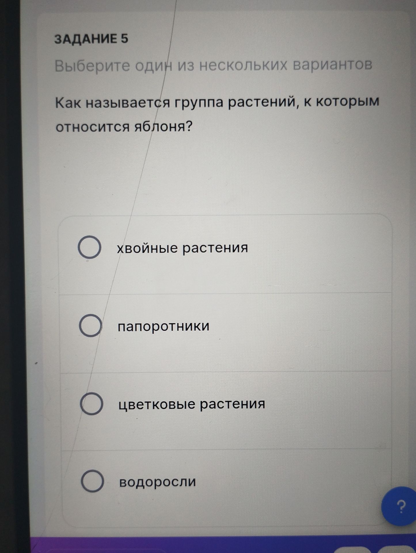 Фото задания: Задание 5. Как называется группа растений, к которым относится яблоня? Выберите один вариант: хвойные растения;…