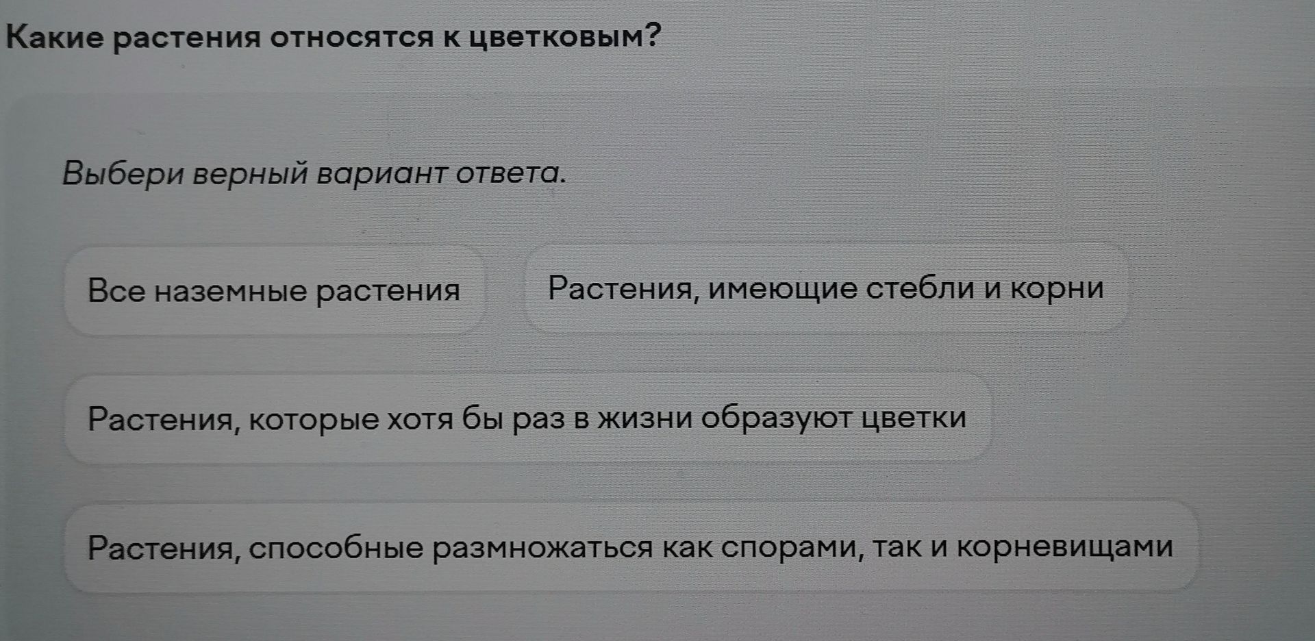 Фото задания: Какие растения относятся к цветковым? Выбери верный вариант ответа: 1) Все наземные растения; 2) Растения, имеющие стебли и…