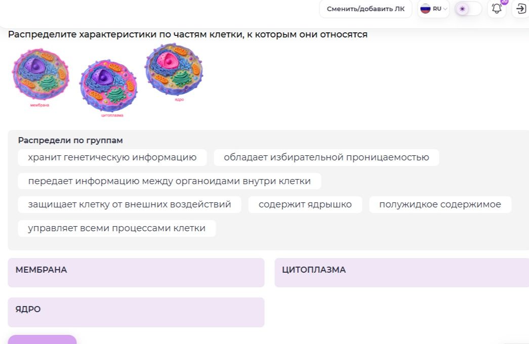 Фото задания: Распределите характеристики по частям клетки, к которым они относятся: хранит генетическую информацию; обладает избирательной…