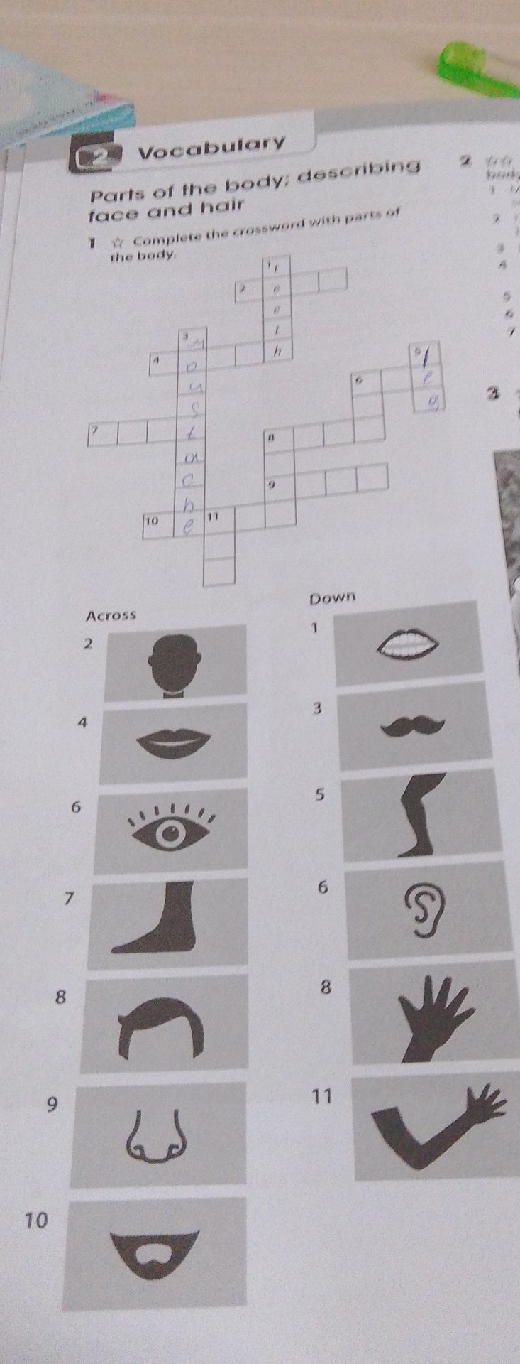 Фото задания: 1. Complete the crossword with parts of the body. Across: 2, 4, 6, 7, 8, 9, 10. Down: 1, 3, 5, 6, 8, 11.