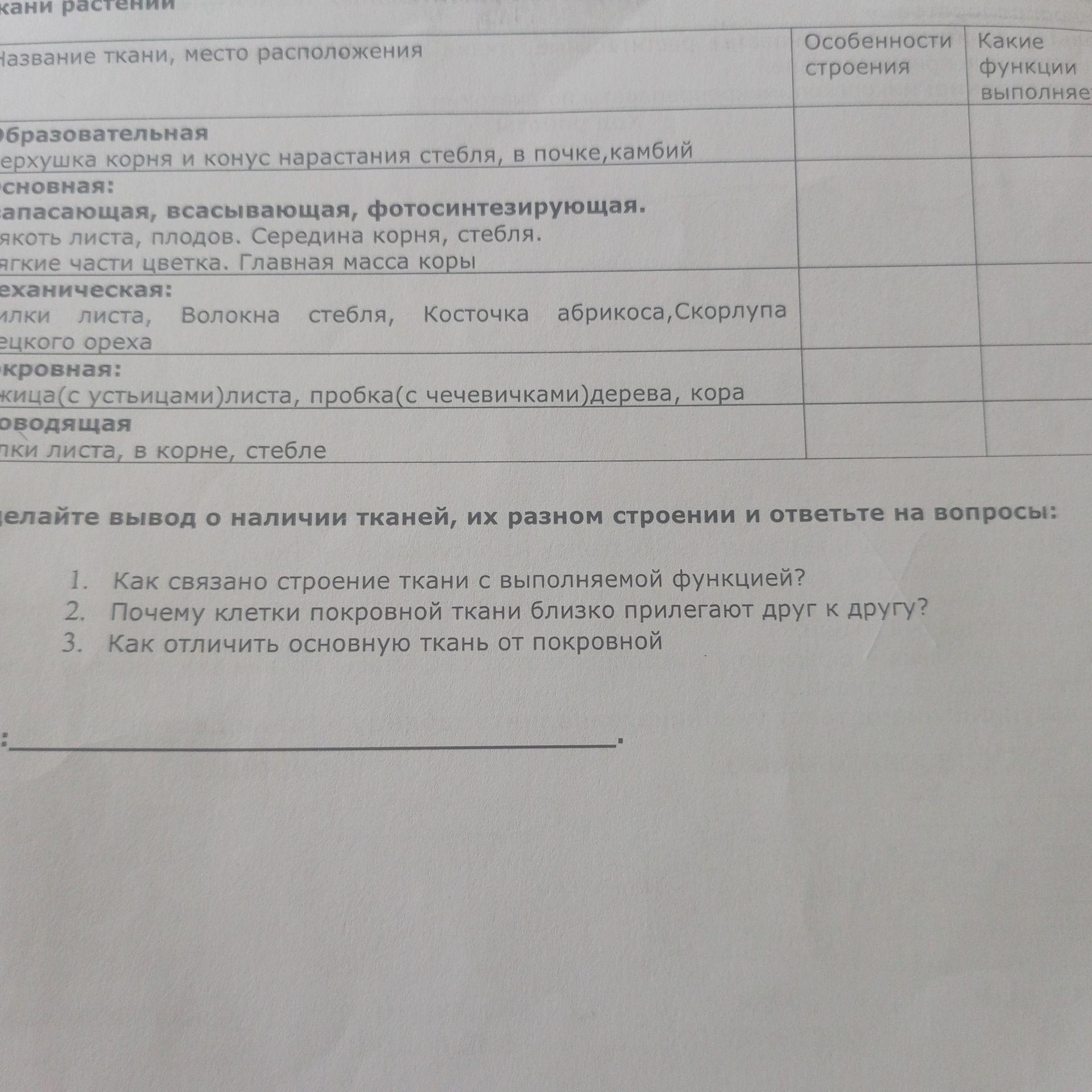 Фото задания: Сделайте вывод о наличии тканей, их разном строении и ответьте на вопросы: 1. Как связано строение ткани с выполняемой…