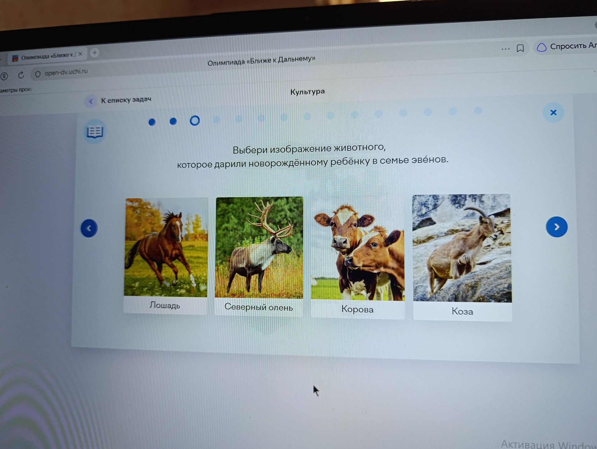Фото задания: Выбери изображение животного, которое дарили новорождённому ребёнку в семье эвенов. Варианты: лошадь, северный олень, корова,…