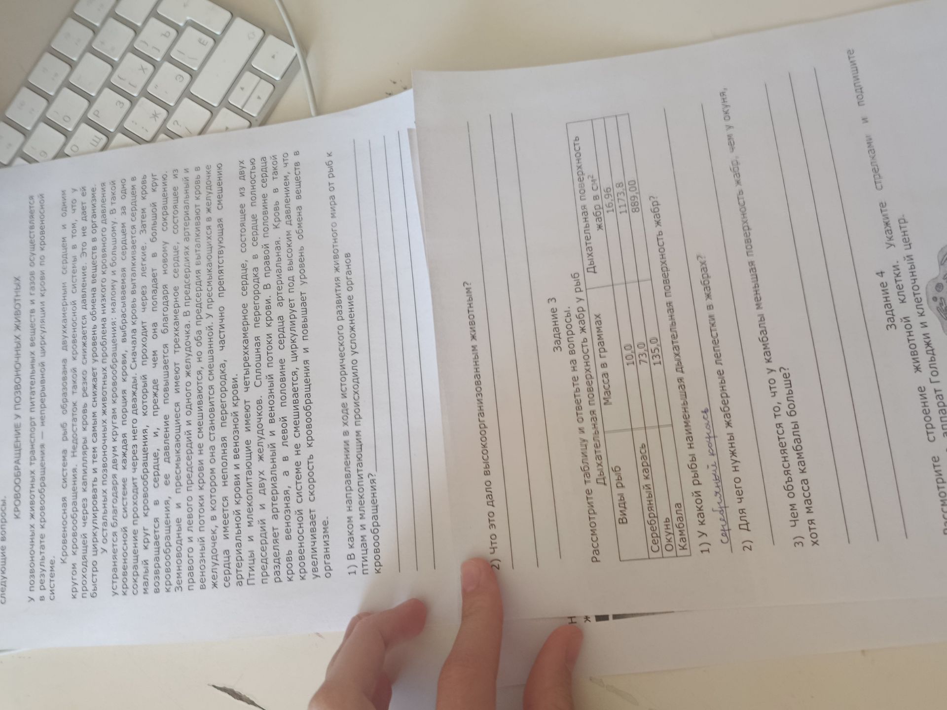 Фото задания: 1) В каком направлении в ходе исторического развития животного мира от рыб к птицам и млекопитающим происходило усложнение…