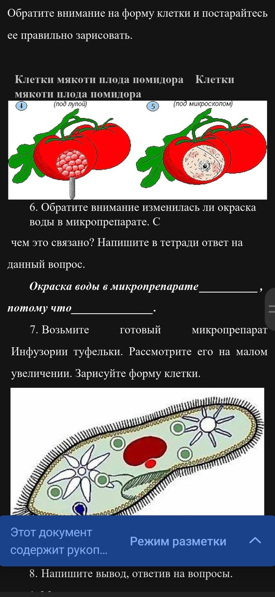 Фото задания: 6. Обратите внимание: изменилась ли окраска воды в микропрепарате? С чем это связано? Заполните: «Окраска воды в…