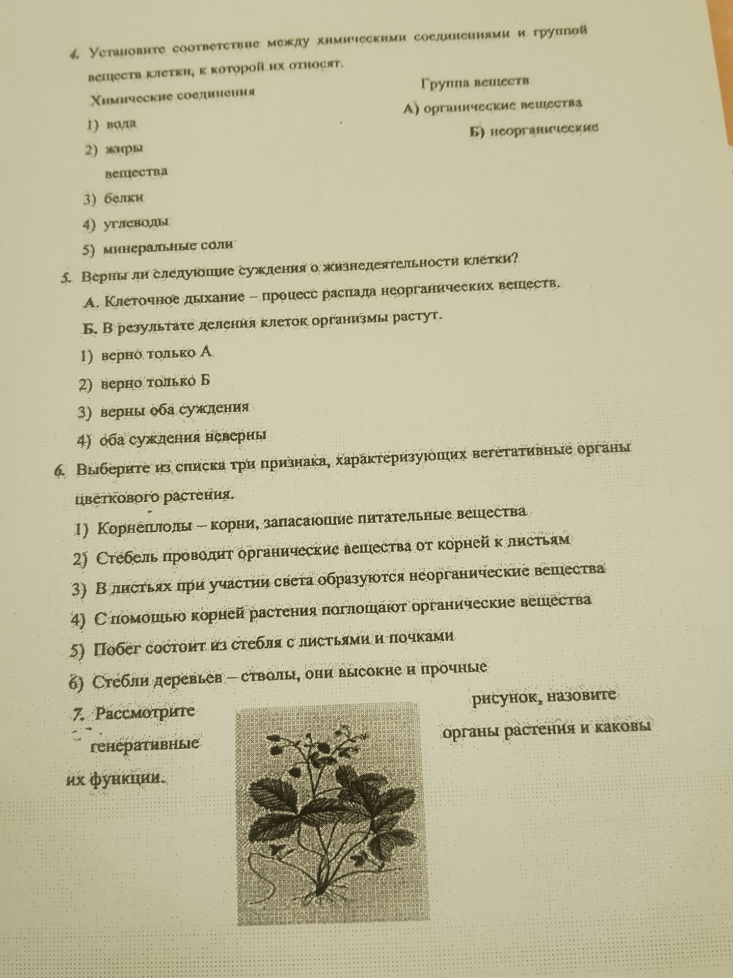 Фото задания: 7. Рассмотрите рисунок, назовите генеративные органы растения и каковы их функции.