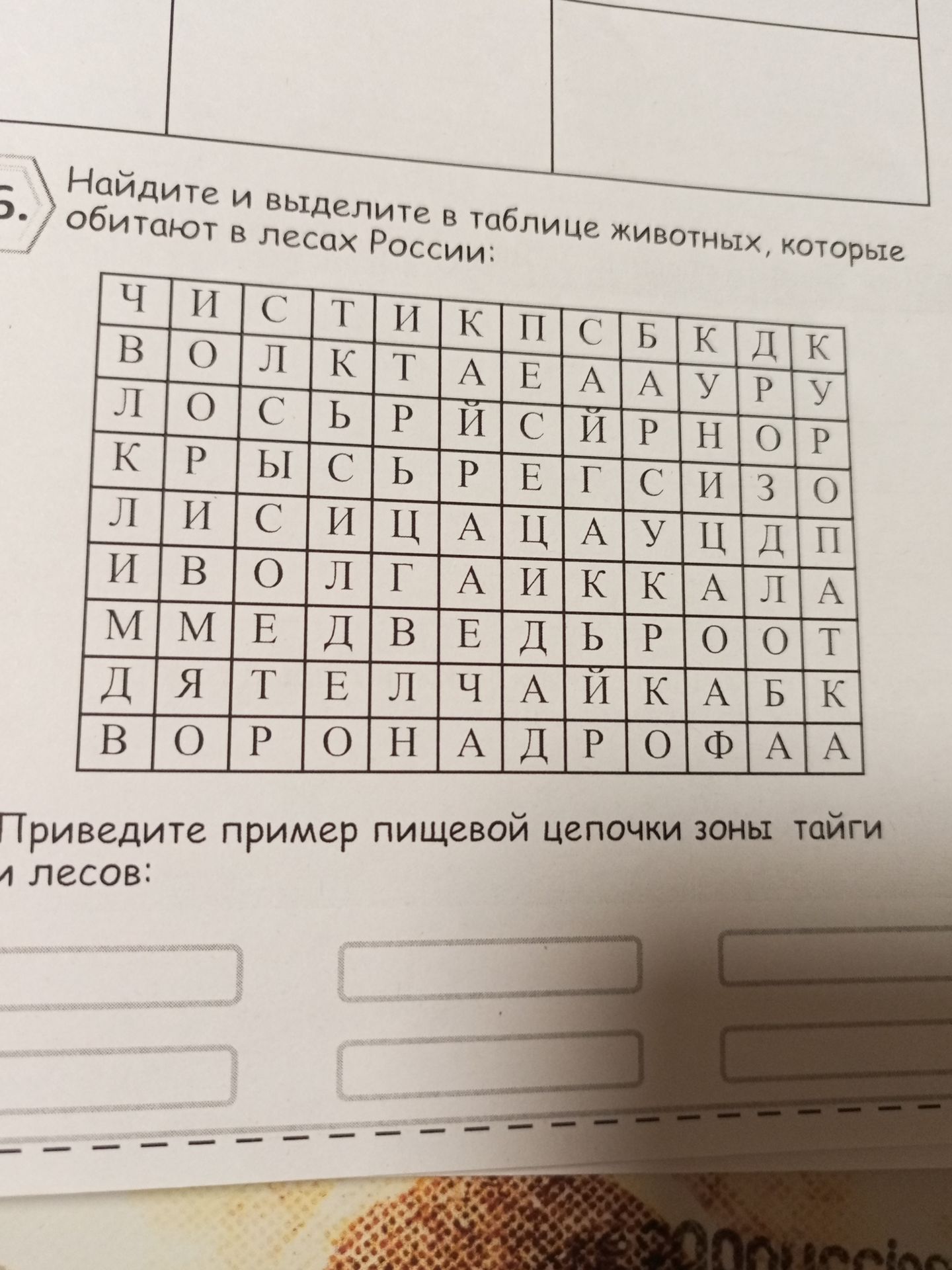Фото задания: 5. Найдите и выделите в таблице животных, которые обитают в лесах России: