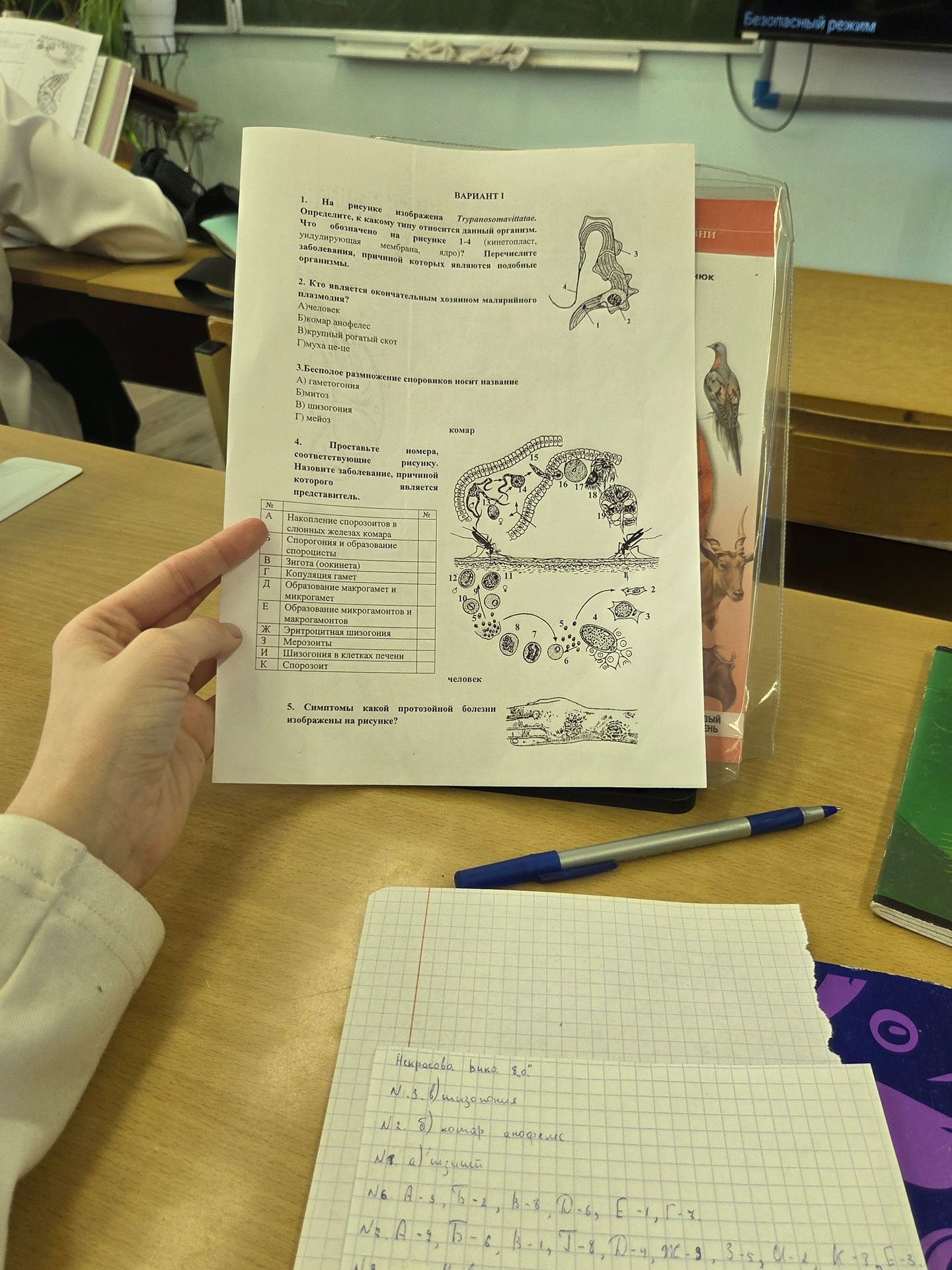 Фото задания: 5. Симптомы какой протозойной болезни изображены на рисунке?