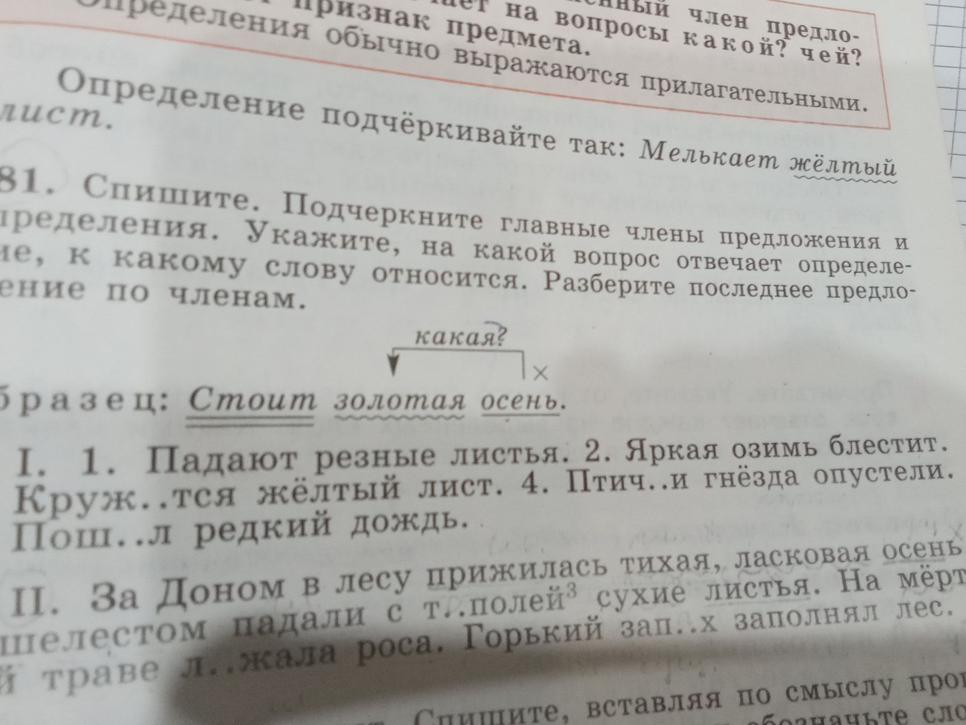 Фото задания: 81. Спишите. Подчеркните главные члены предложения и определения. Укажите, на какой вопрос отвечает определение, к какому…