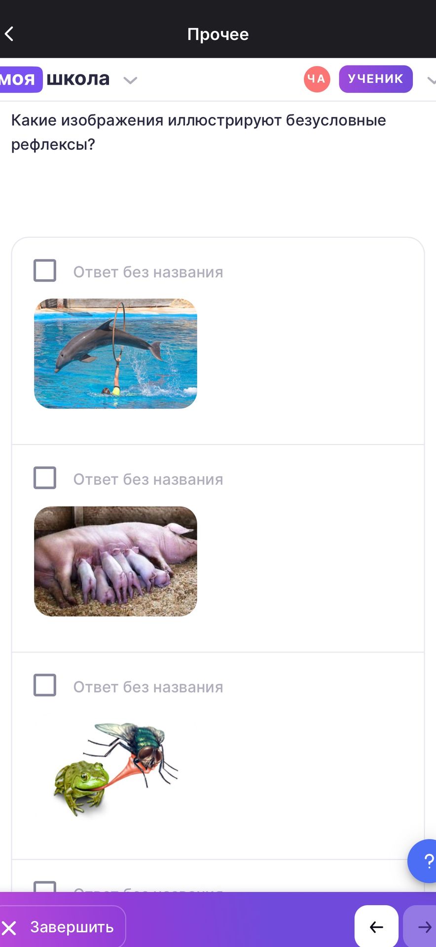 Фото задания: Какие изображения иллюстрируют безусловные рефлексы? На изображении видны дельфин, свинья с поросятами и лягушка, ловящая…