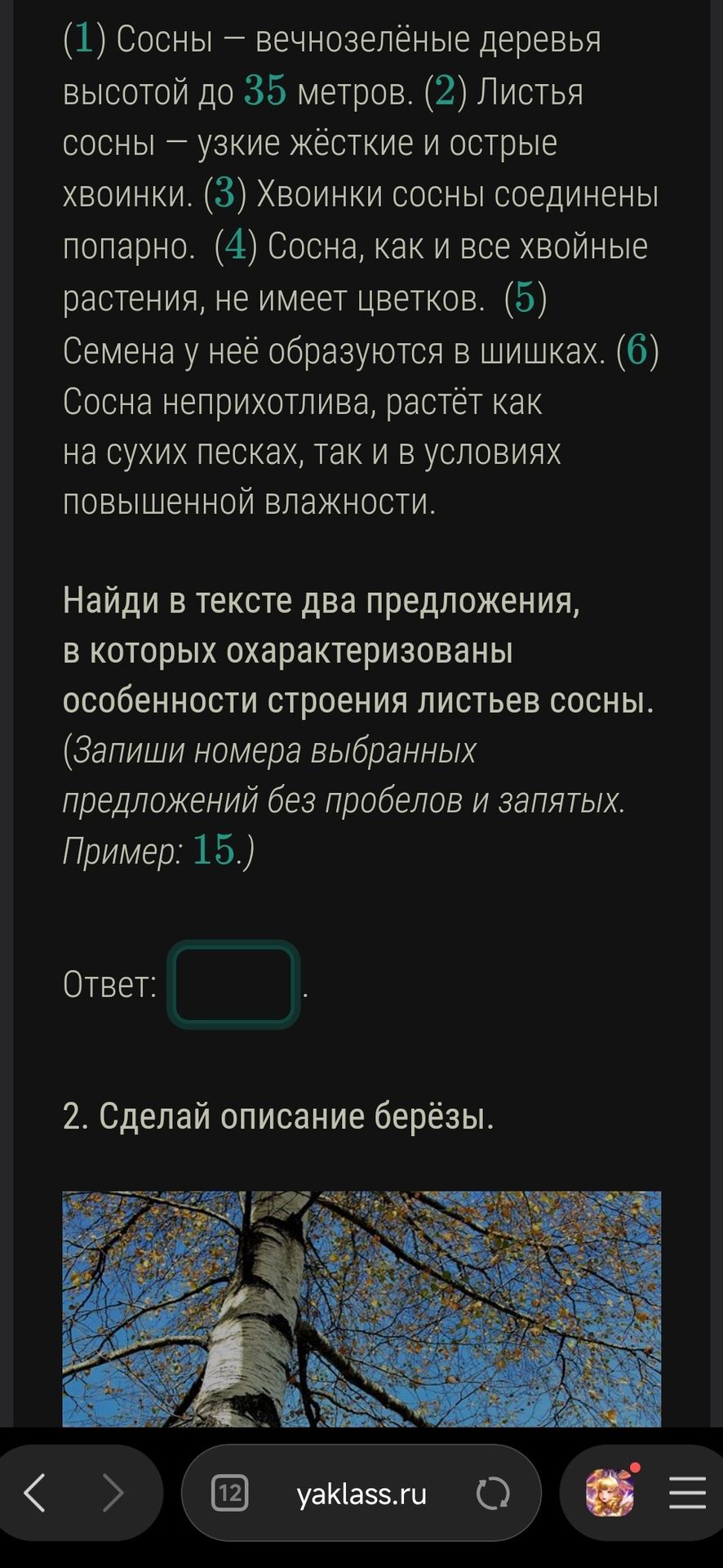 Фото задания: Найди в тексте два предложения, в которых охарактеризованы особенности строения листьев сосны. Запиши номера выбранных…