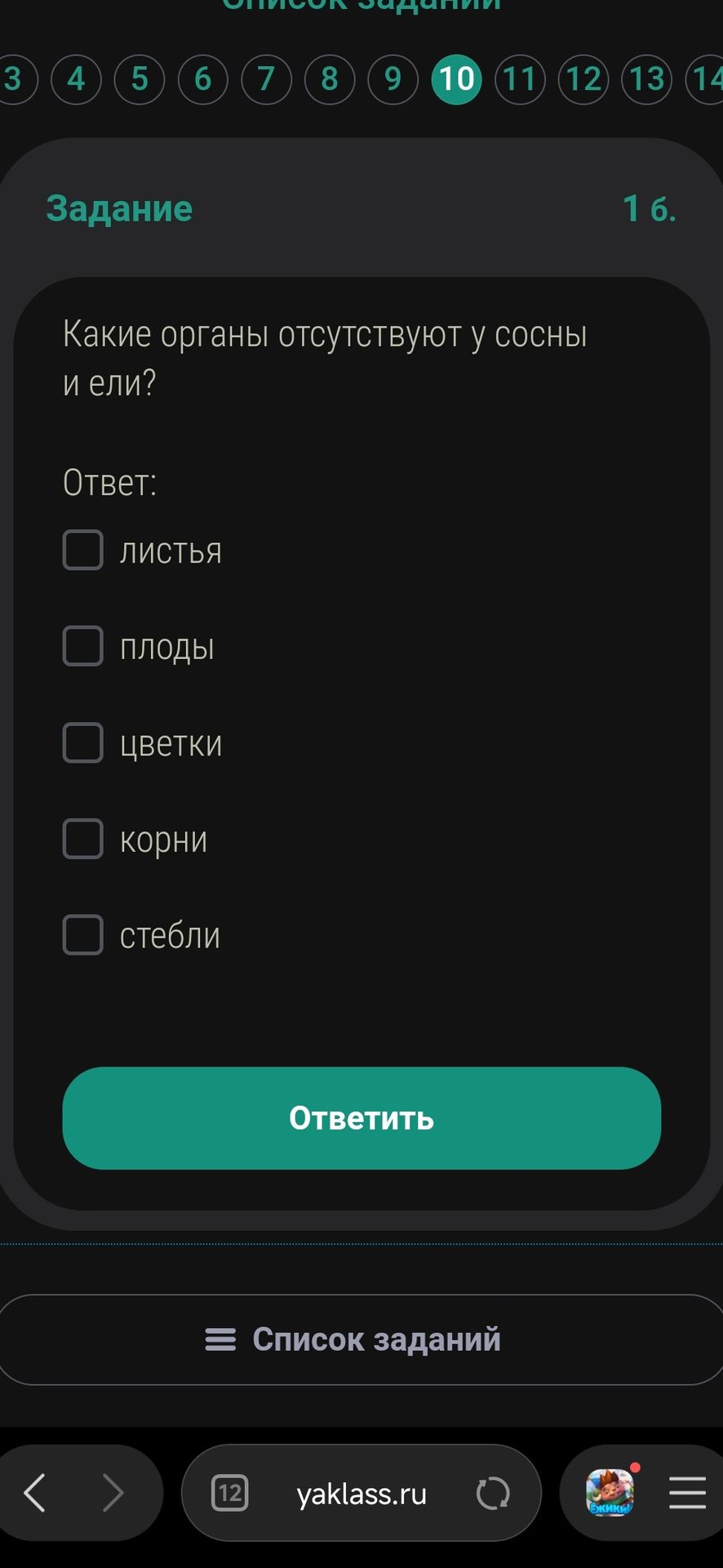 Фото задания: Какие органы отсутствуют у сосны и ели? Варианты: листья, плоды, цветки, корни, стебли.