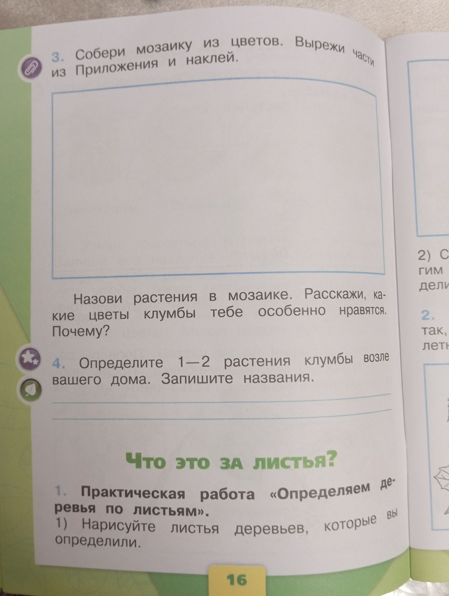 Фото задания: «Что это за листья?» 1. Практическая работа «Определяем деревья по листьям». 1) Нарисуйте листья деревьев, которые вы…