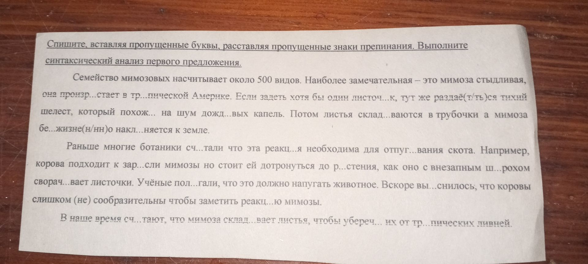 Фото задания: Спишите, вставляя пропущенные буквы, расставляя пропущенные знаки препинания. Выполните синтаксический анализ первого…