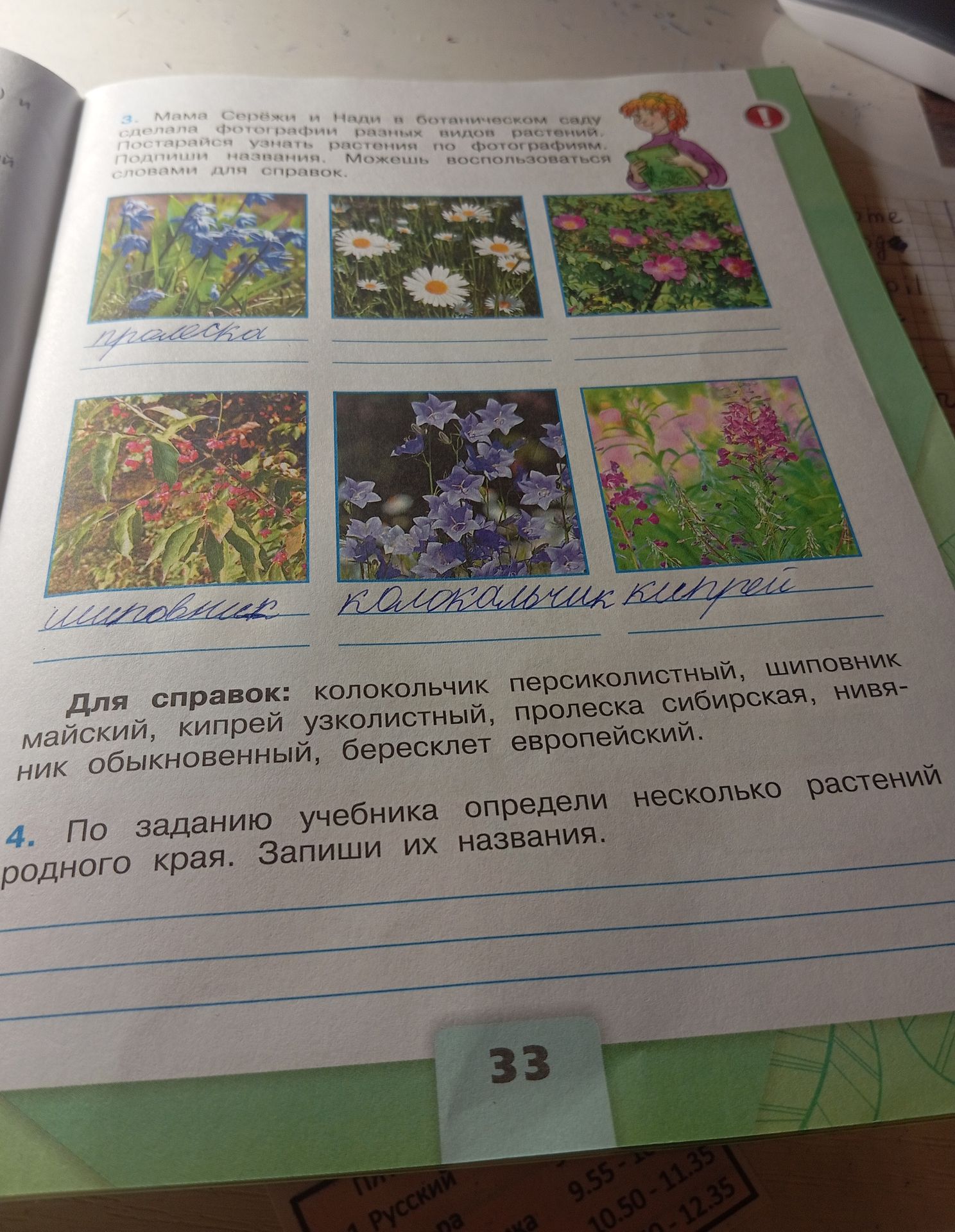 Фото задания: 4. По заданию учебника определили несколько растений родного края. Запиши их названия.