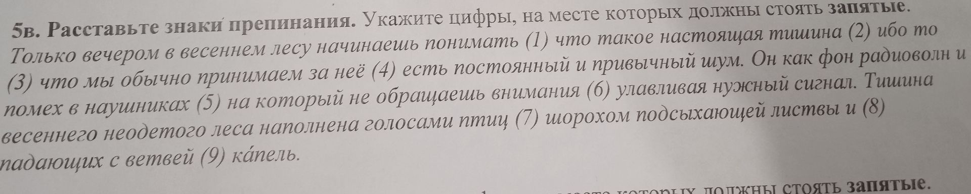 Фото задания: 5в. Расставьте знаки препинания. Укажите цифры, на месте которых должны стоять запятые. Только вечером в весеннем лесу…
