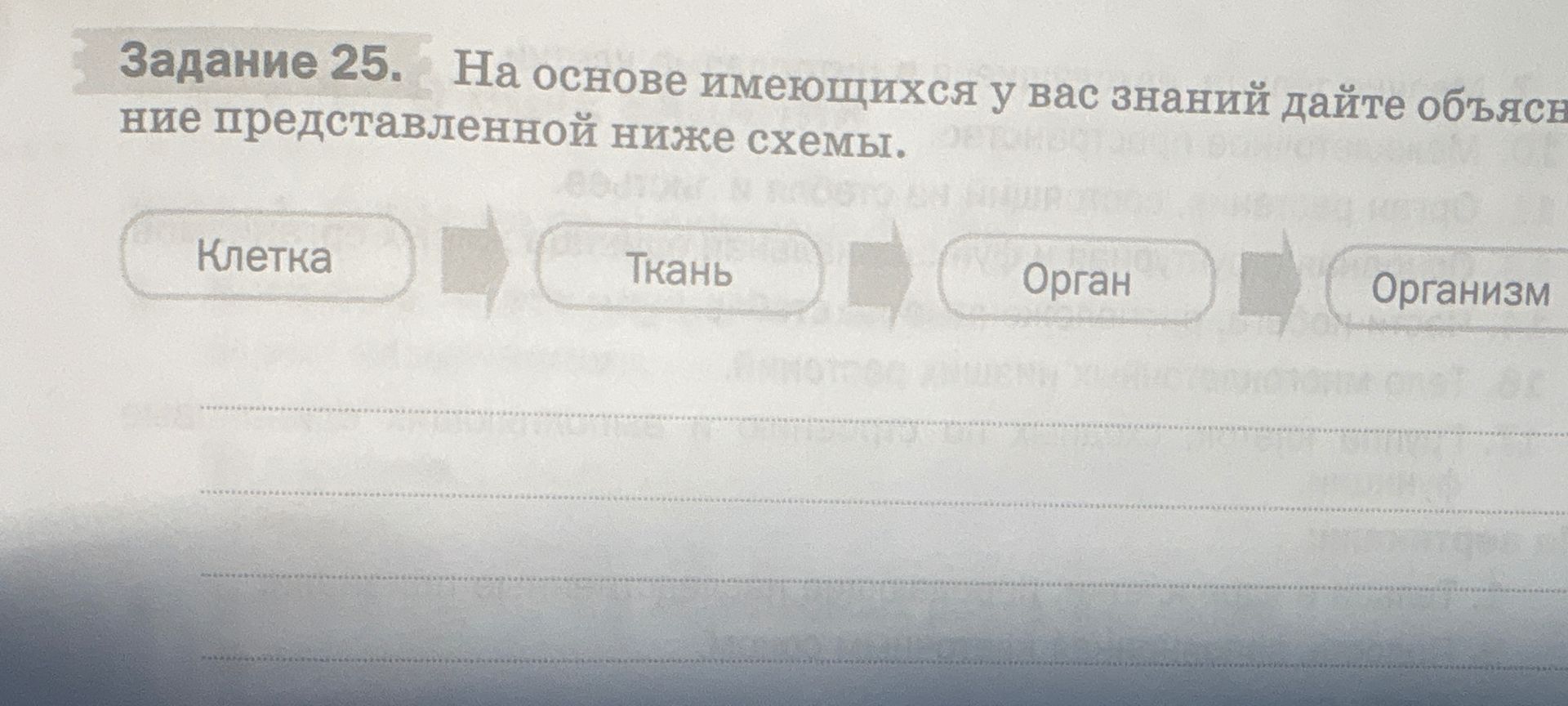 Фото задания: Задание 25. На основе имеющихся у вас знаний дайте объяснение представленной ниже схеме: клетка → ткань → орган → организм.