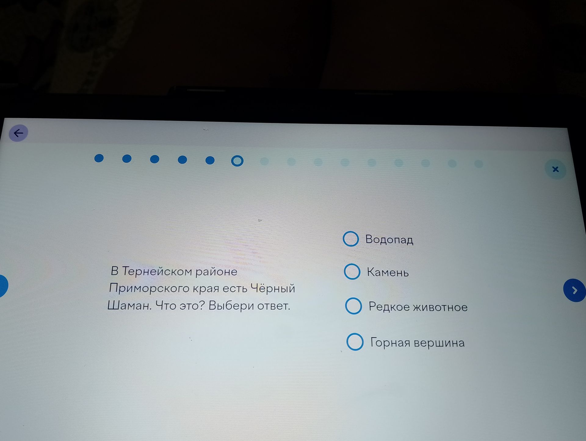 Фото задания: В Тернейском районе Приморского края есть Чёрный Шаман. Что это? Выбери ответ: водопад; камень; редкое животное; горная…