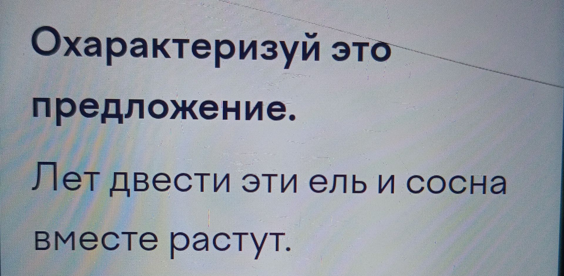Фото задания: Охарактеризуй это предложение. Лет двести эти ель и сосна вместе растут.
