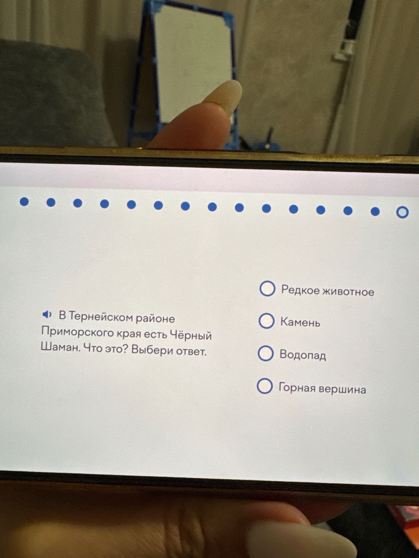 Фото задания: В Тернейском районе Приморского края есть Чёрный Шаман. Что это? Выбери ответ: редкое животное, камень, водопад, горная…