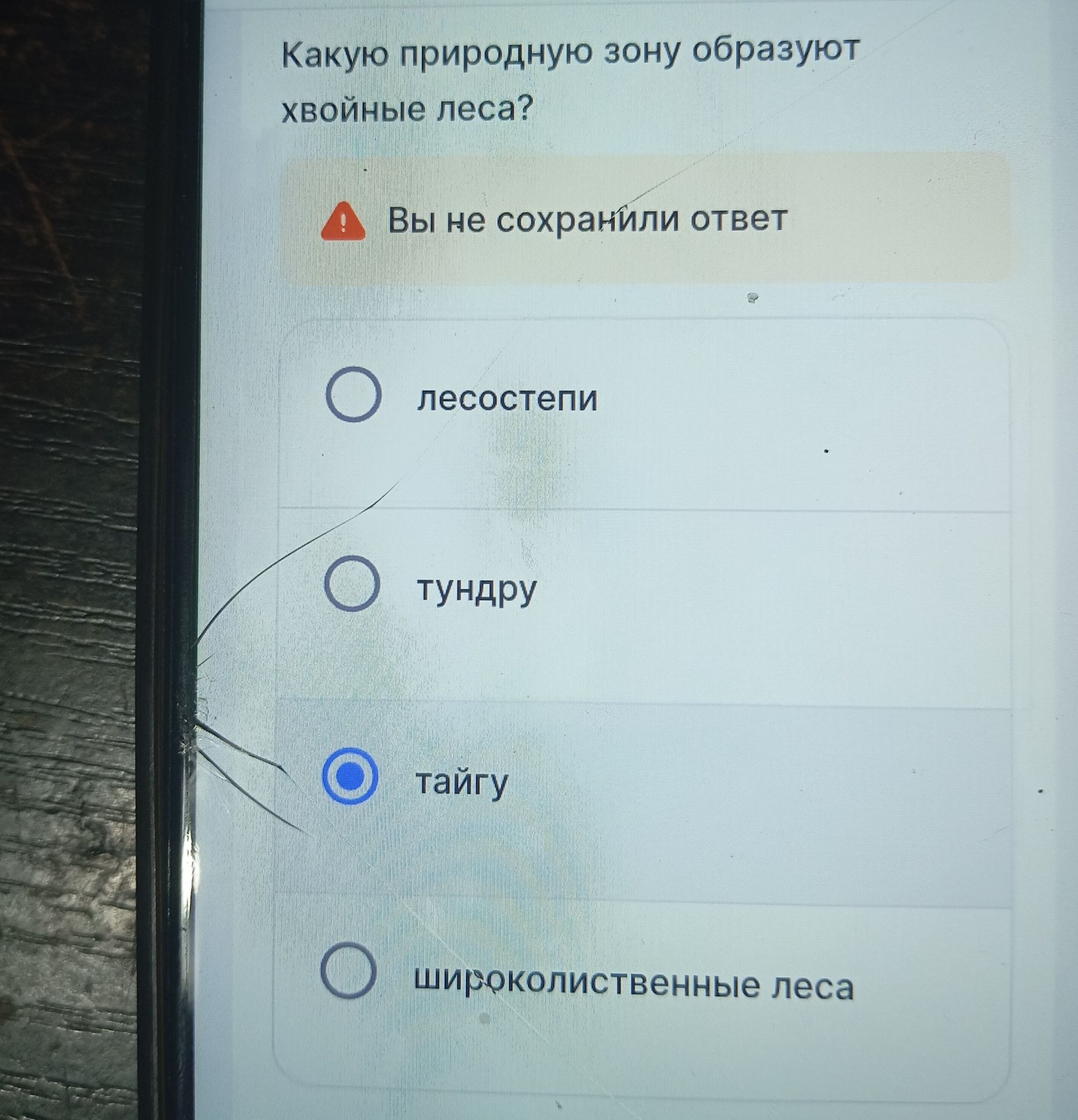 Фото задания: Какую природную зону образуют хвойные леса? Варианты: лесостепи, тундру, тайгу, широколиственные леса.
