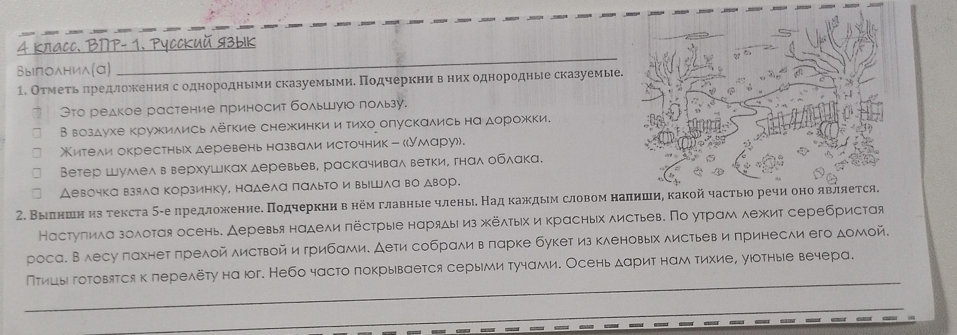 Фото задания: 1. Отметь предложения с однородными сказуемыми. Подчеркни в них однородные сказуемые. а) Это редкое растение приносит большую…