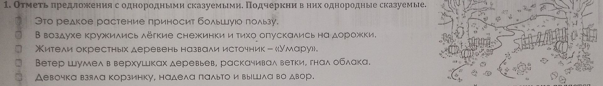 Фото задания: 1. Отметь предложения с однородными сказуемыми. Подчеркни в них однородные сказуемые. Это редкое растение приносит большую…