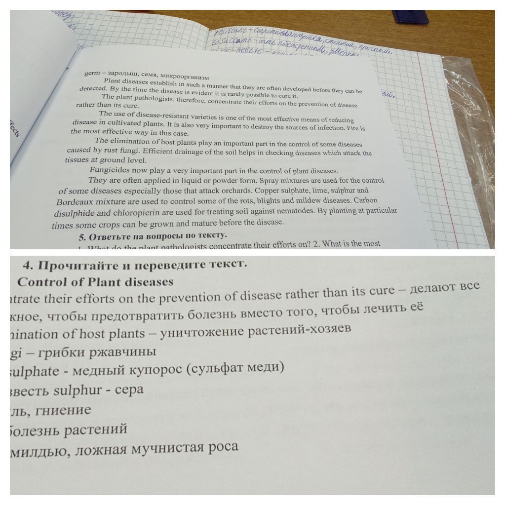 Фото задания: 4. Прочитайте и переведите текст. Control of Plant diseases.