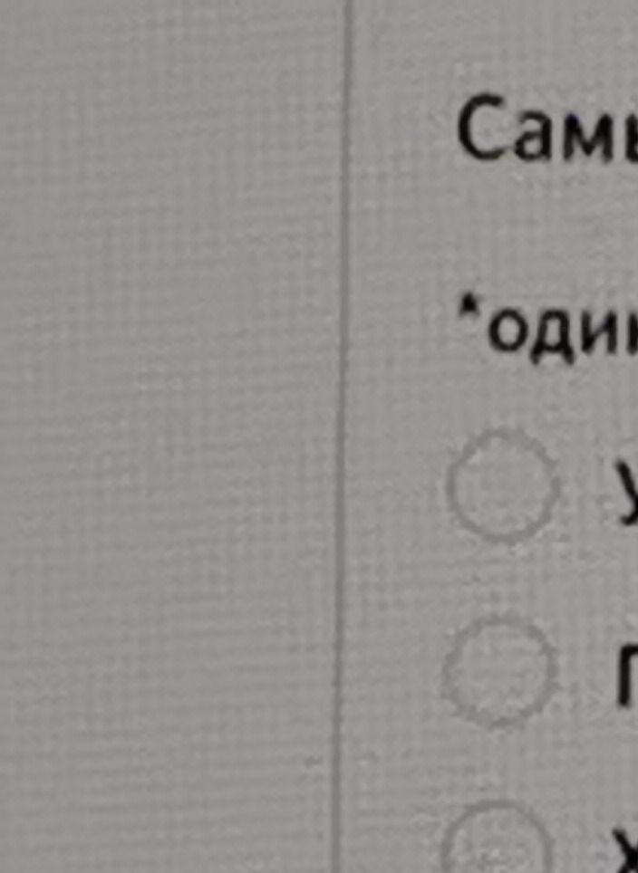 Фото задания: [Обрезанный фрагмент задания: «Сам…», «один…»; ниже видны кружки для выбора и части вариантов ответа.]