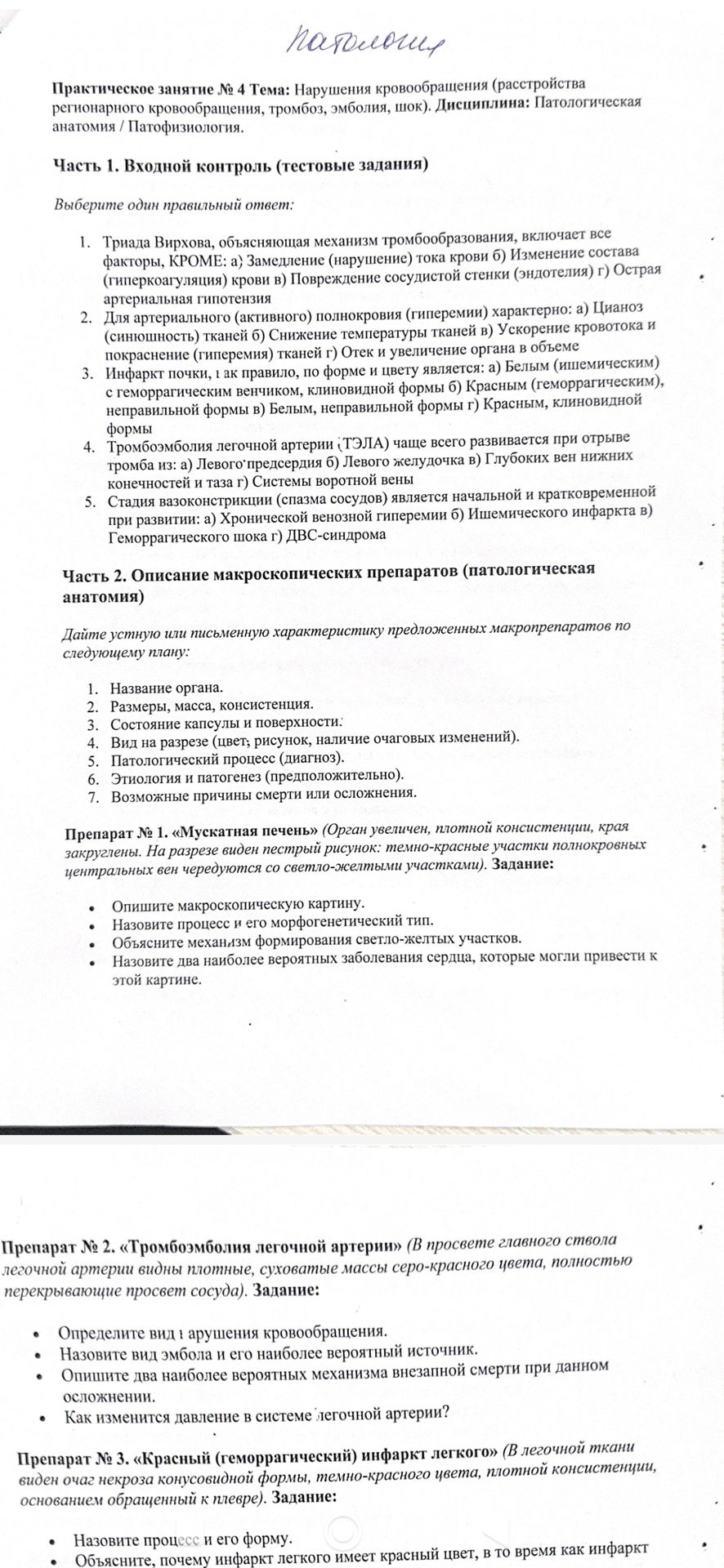 Фото задания: Препарат № 3. «Красный (геморрагический) инфаркт лёгкого» (в лёгочной ткани виден очаг некроза конусовидной формы,…