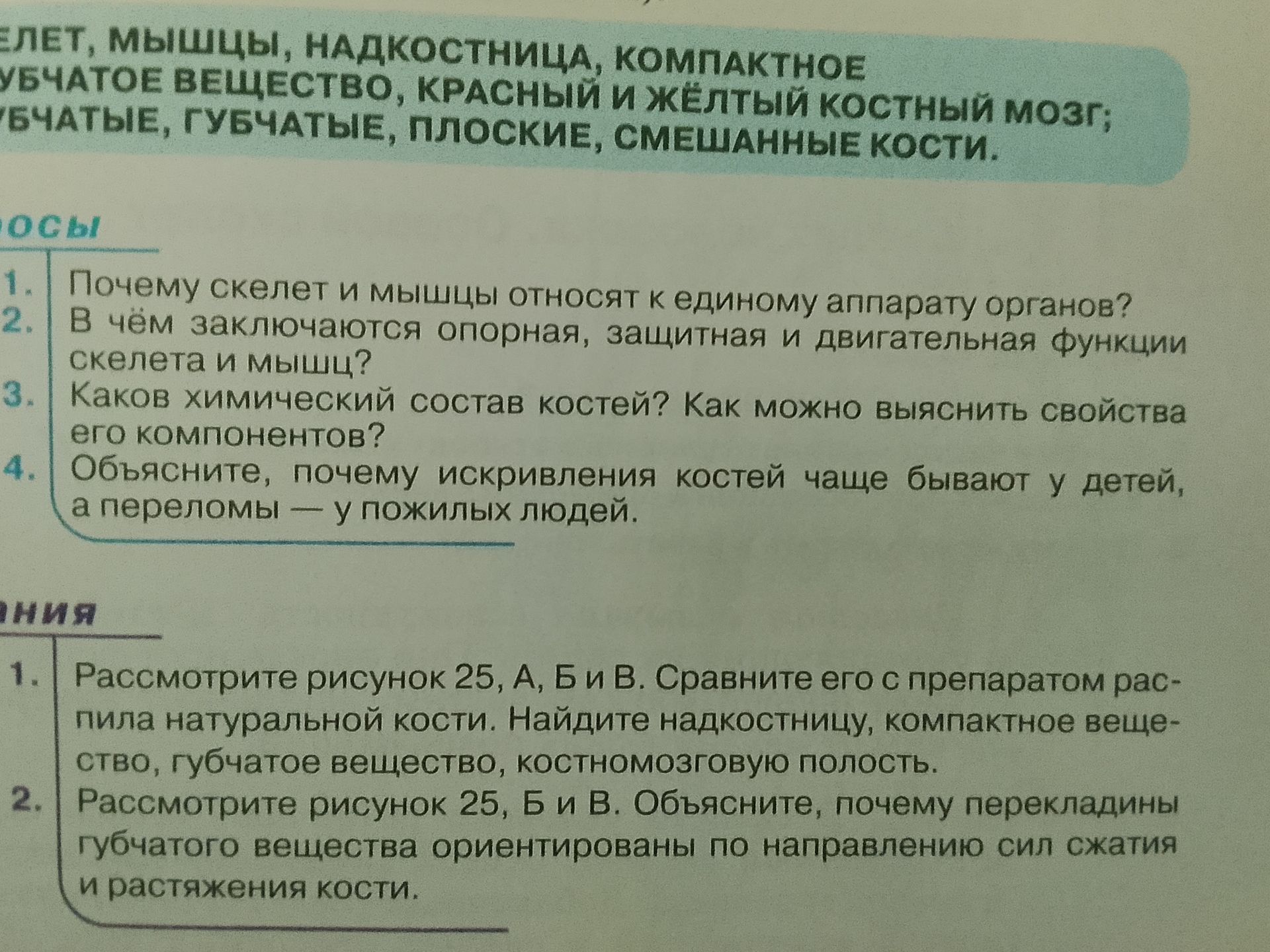 Фото задания: 2. В чём заключаются опорная, защитная и двигательная функции скелета и мышц?