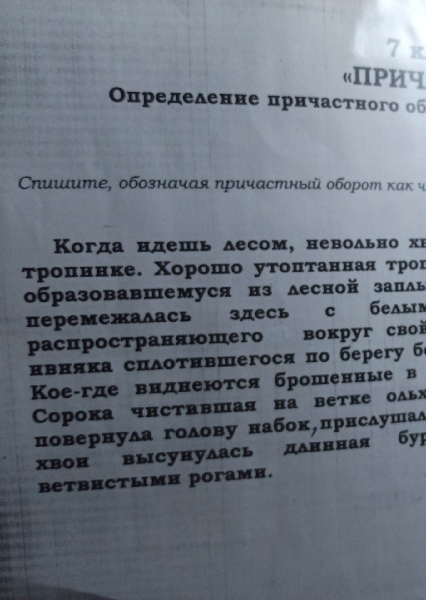 Фото задания: Спишите, обозначая причастный оборот как [инструкция обрезана]. Текст: «Когда идёшь лесом, невольно [текст обрезан] тропинке.…