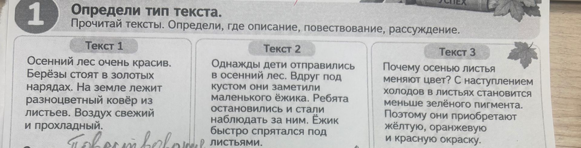 Фото задания: Определи, где описание, повествование, рассуждение. Текст 1: Осенний лес очень красив. Берёзы стоят в золотых нарядах. На…