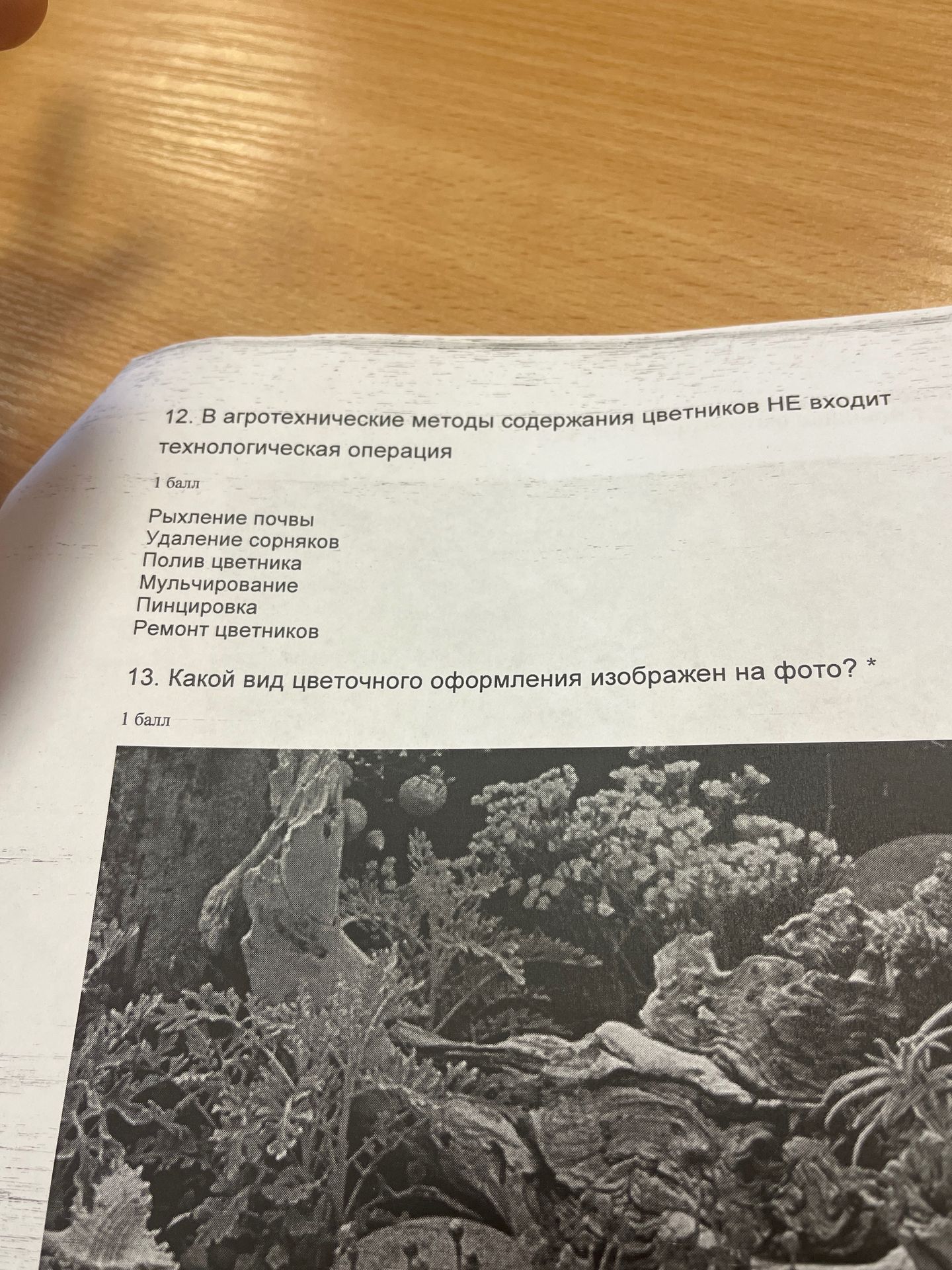 Фото задания: 12. В агротехнические методы содержания цветников НЕ входит технологическая операция: рыхление почвы, удаление сорняков,…