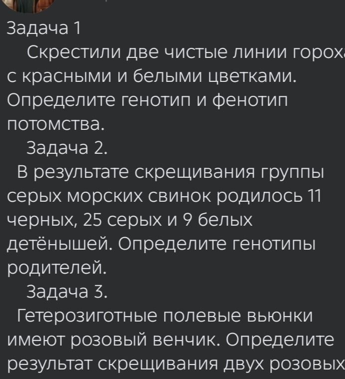 Фото задания: Задача 2. В результате скрещивания группы серых морских свинок родилось 11 чёрных, 25 серых и 9 белых детёнышей. Определите…