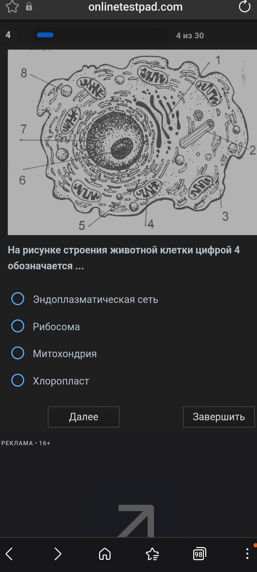 Фото задания: На рисунке строения животной клетки цифрой 4 обозначается … (эндоплазматическая сеть; рибосома; митохондрия; хлоропласт).