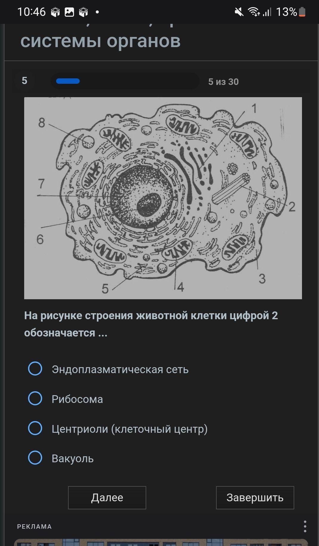 Фото задания: На рисунке строения животной клетки цифрой 2 обозначается: эндоплазматическая сеть, рибосома, центриоли (клеточный центр),…