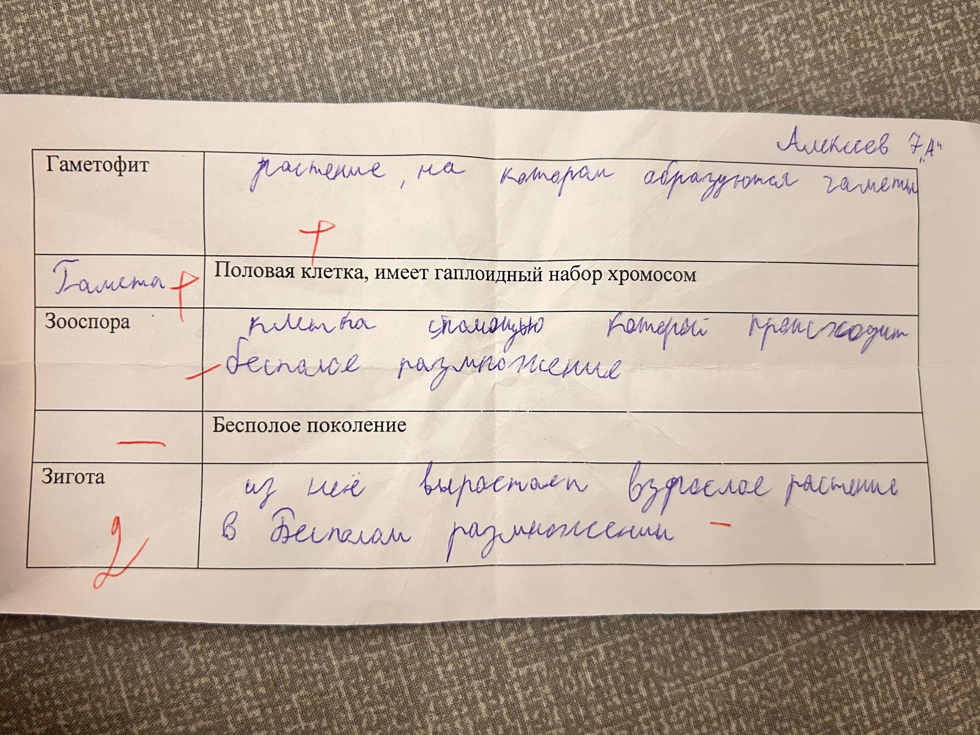 Фото задания: Заполнить таблицу: «Гаметофит», «Гамета», «Зооспора», «Бесполое поколение», «Зигота».