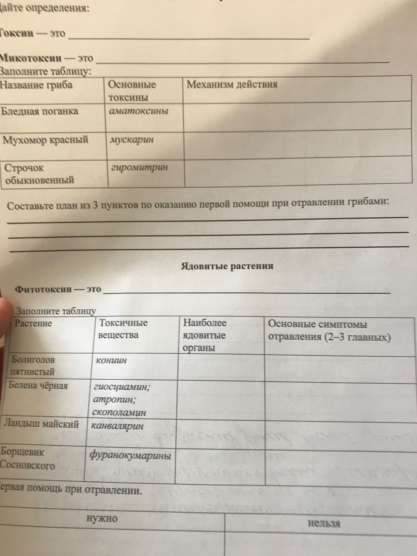 Фото задания: Токсин — это _____. Микотоксин — это _____. Заполните таблицу: название гриба, основные токсины, механизм действия: бледная…