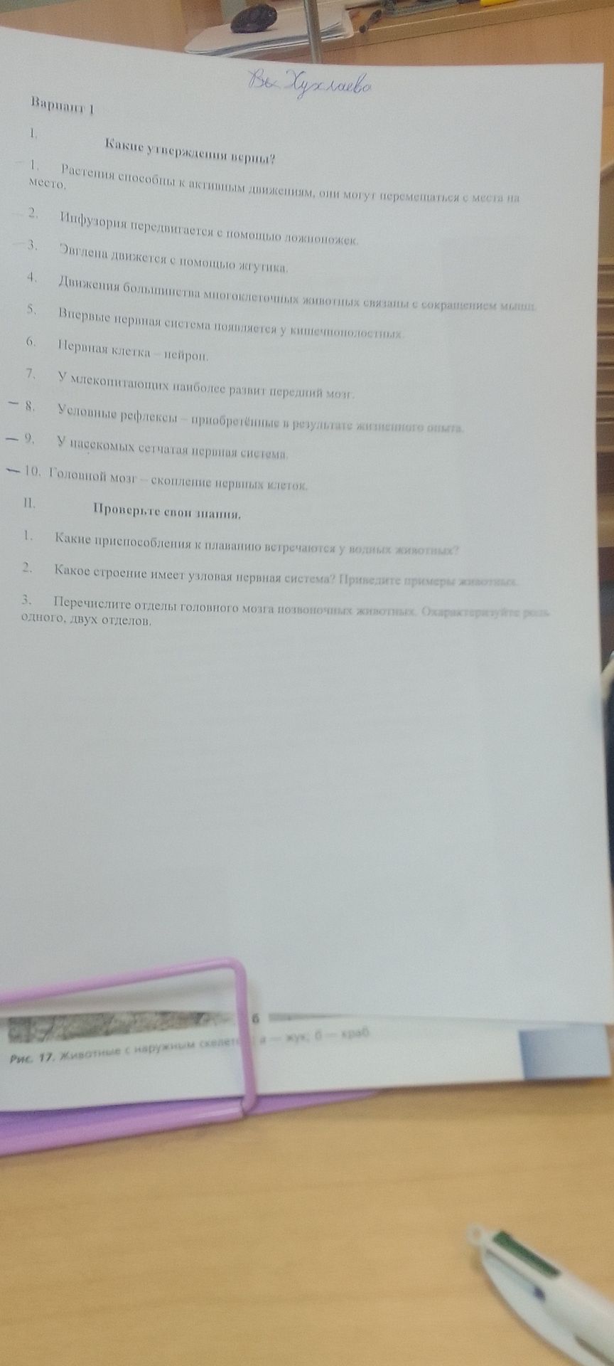 Фото задания: II. Проверьте свои знания. 1. Какие приспособления к плаванию встречаются у водных животных? 2. Какое строение имеет…