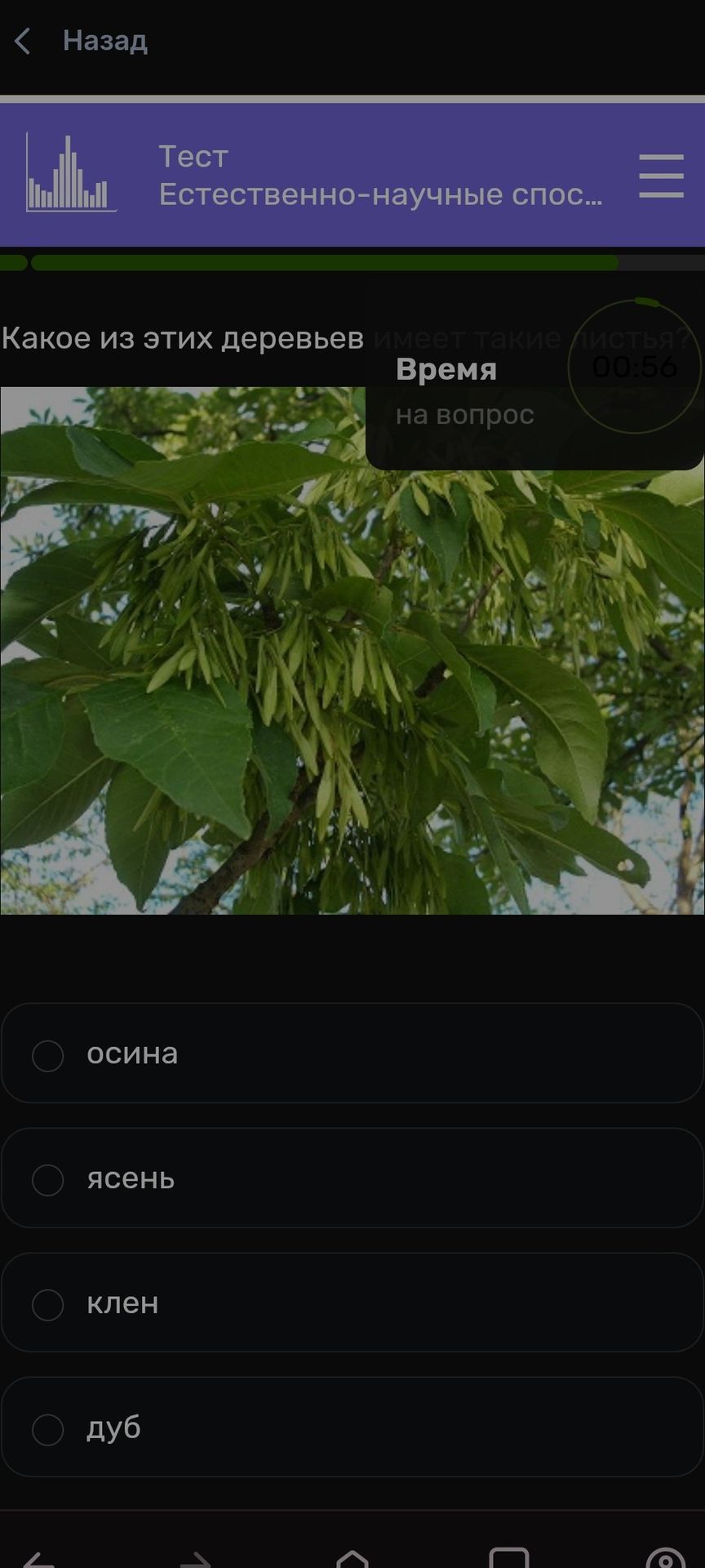 Фото задания: Какое из этих деревьев имеет такие листья? Варианты: осина, ясень, клён, дуб.