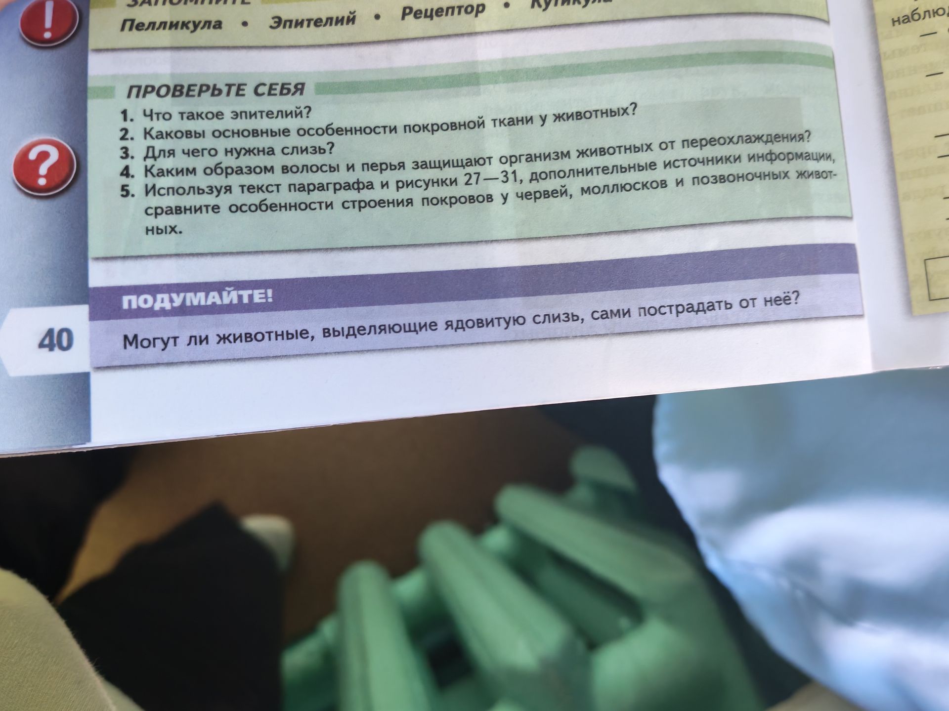 Фото задания: 5. Используя текст параграфа и рисунки 27—31, дополните источники информации, сравните особенности строения покровов у…