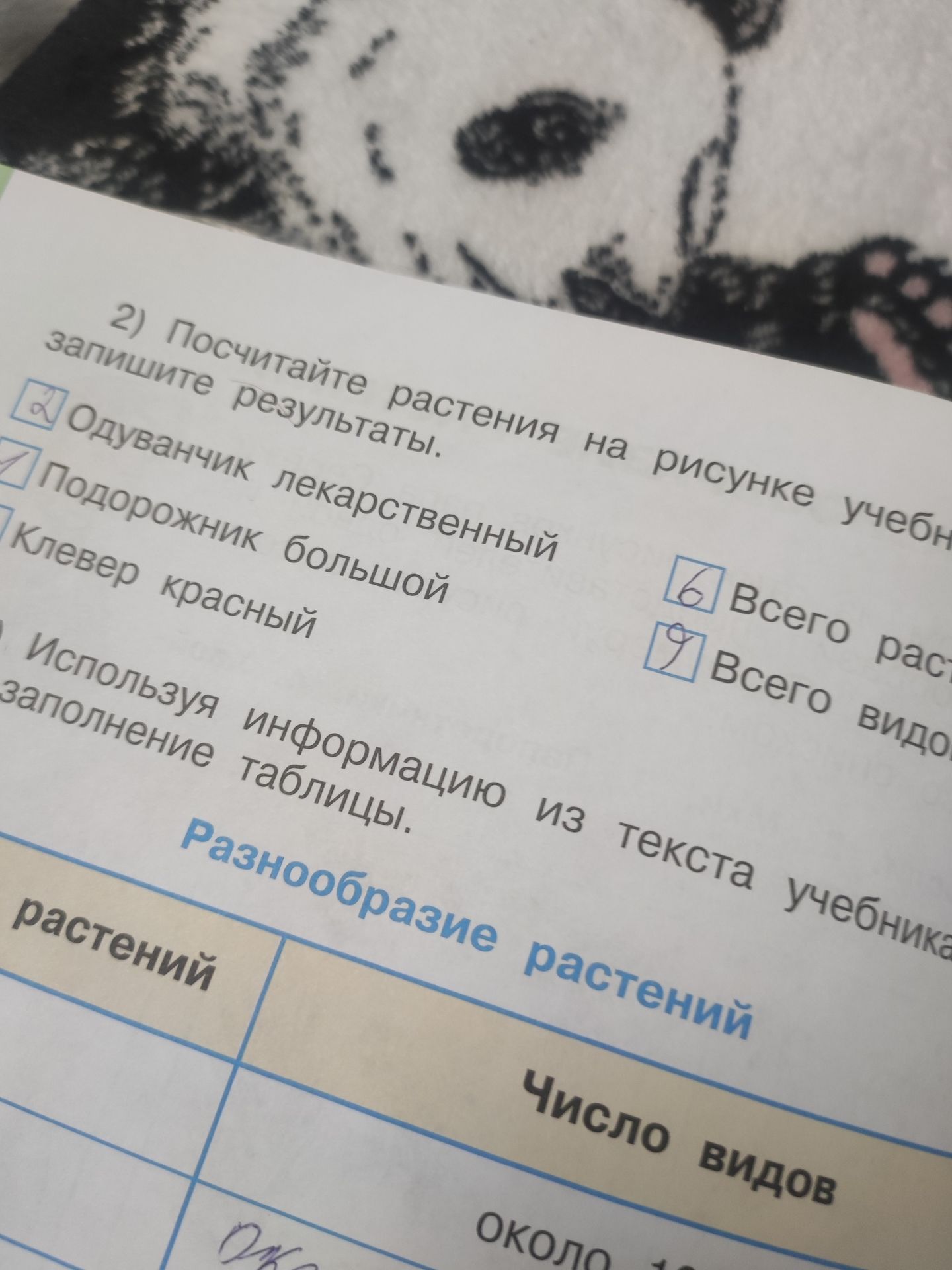 Фото задания: 2) Посчитайте растения на рисунке учебника, запишите результаты: одуванчик лекарственный, подорожник большой, клевер красный;…