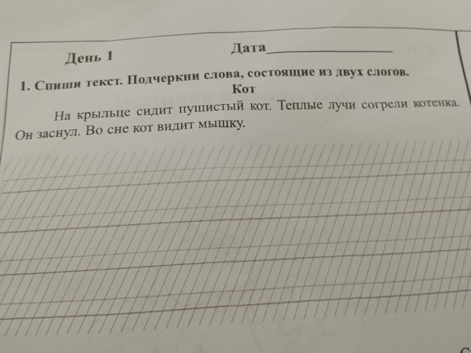 Фото задания: 1. Спиши текст. Подчеркни слова, состоящие из двух слогов. Кот. На крыльце сидит пушистый кот. Теплые лучи согрели котенка.…