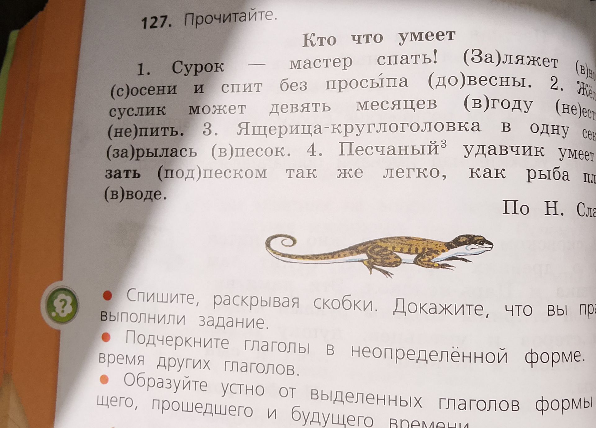 Фото задания: 127. Прочитайте. «Кто что умеет». 1. Сурок — мастер спать! (За)ляжет [часть строки обрезана] осени и спит без просыпа…