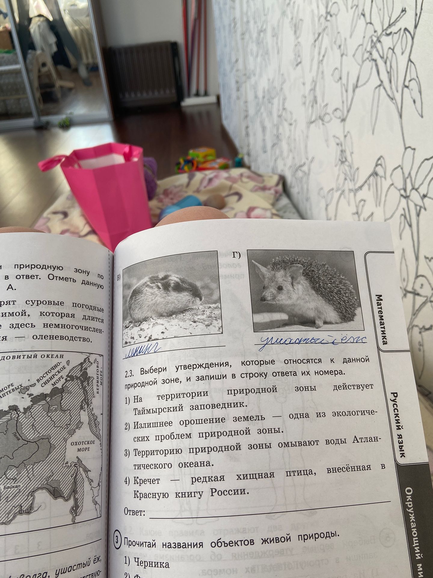Фото задания: 3. Прочитай названия объектов живой природы. 1) Черника 2) [дальнейший текст задания обрезан]