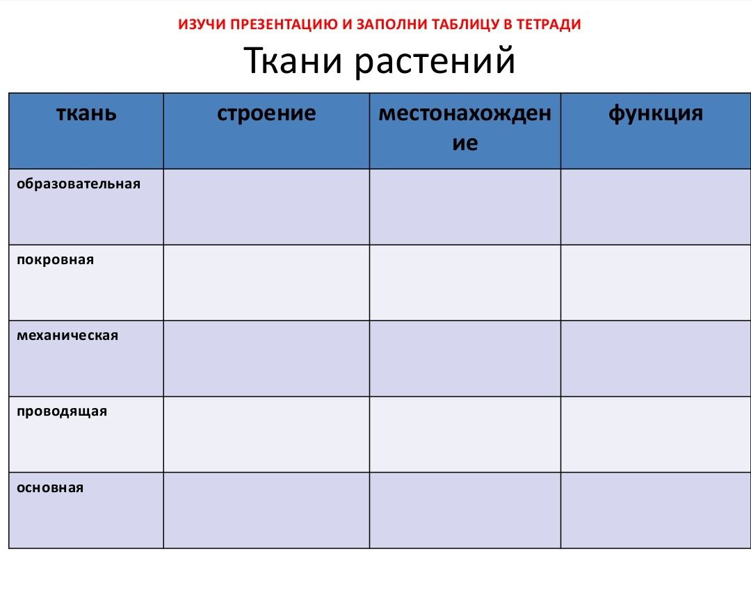 Фото задания: Изучи презентацию и заполни таблицу в тетради «Ткани растений»: ткань, строение, местонахождение, функция. Строки:…