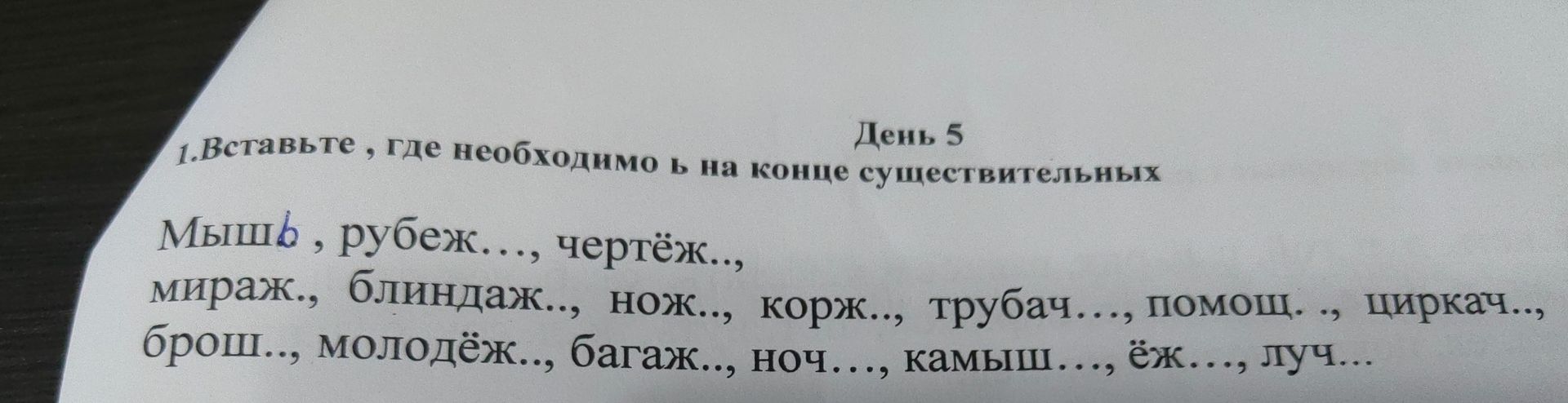 Фото задания: Вставьте ь, где необходимо, в конце существительных: мыш…, рубеж…, чертёж…, мираж…, блиндаж…, нож…, корж…, трубач…, помощ…,…