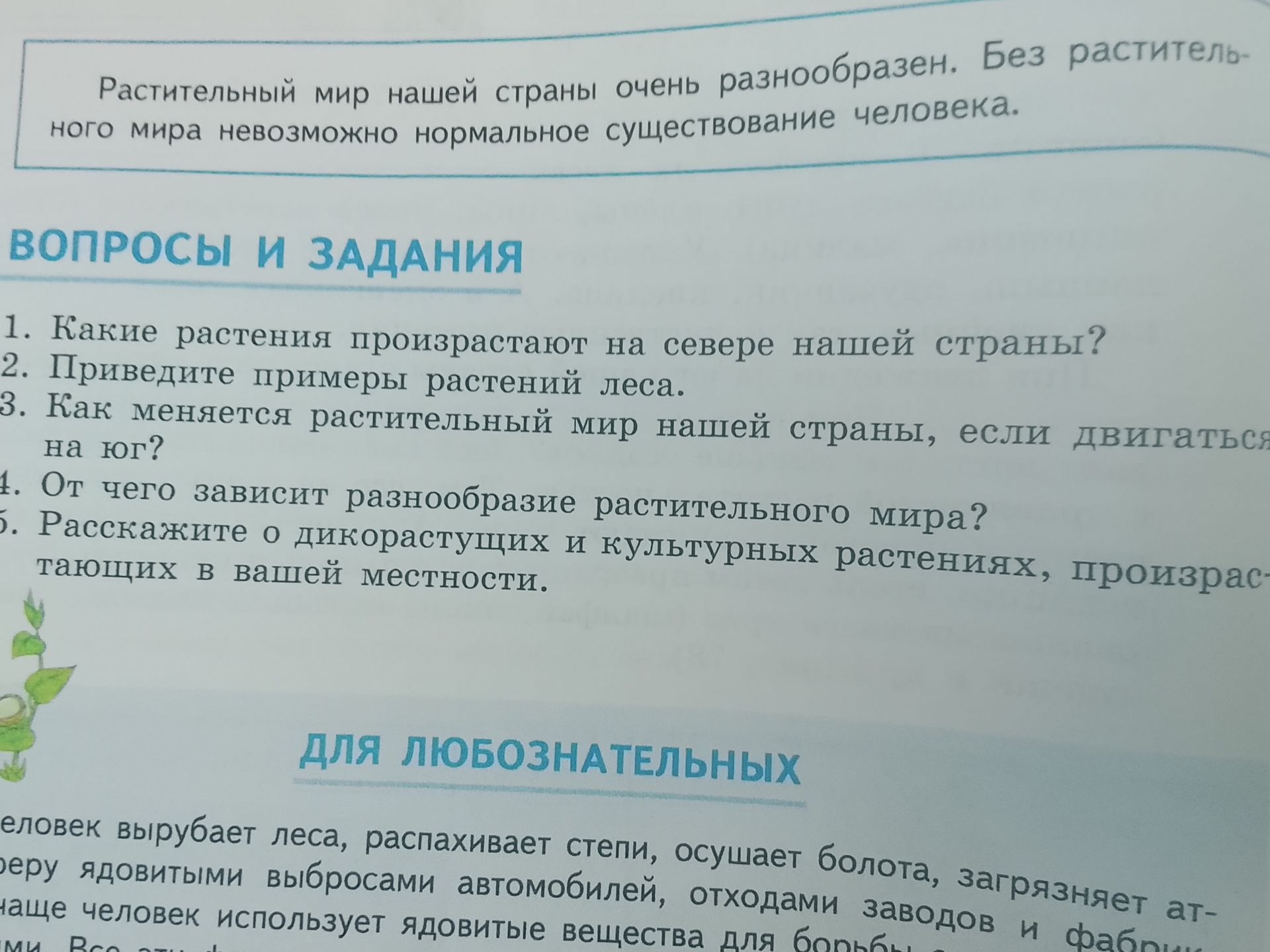 Фото задания: 2. Приведите примеры растений леса.